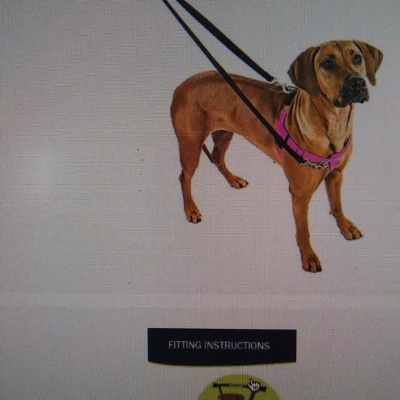 Dog Harness and Leash - XL - Picture 6 of 6